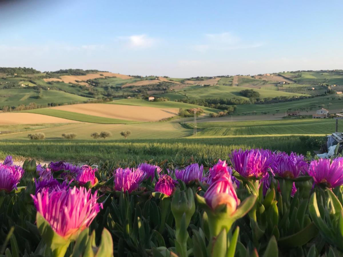 La Trave Bed & Breakfast Montecosaro  Eksteriør bilde