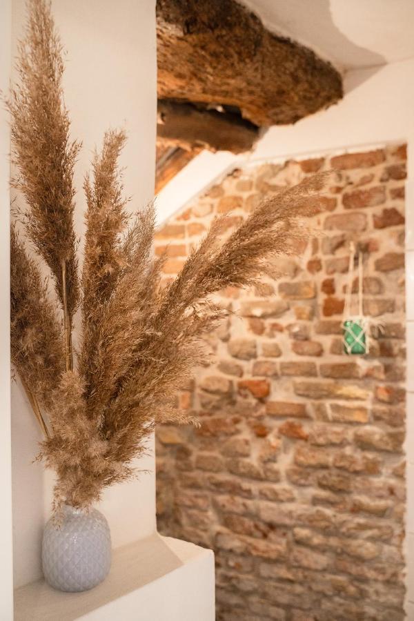 La Trave Bed & Breakfast Montecosaro  Eksteriør bilde